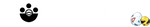 PokeOricaSTCG
